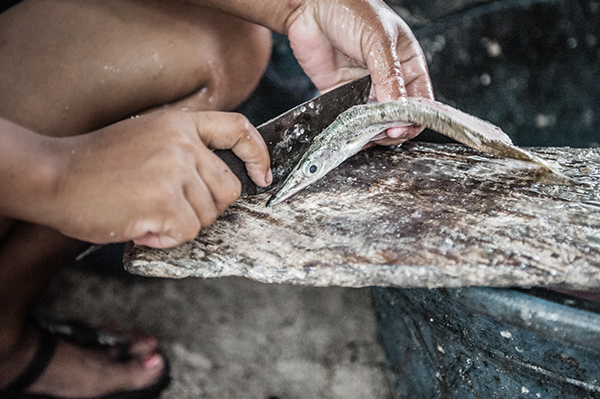 Preparing fish to be salted and dried. El Nido, Palawan, Philippines (2014)