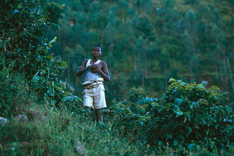 04_Destin-Rwandais
